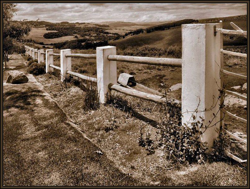 Photography by Juicer for DesignCrowd (Community Contests) | Design #9002969