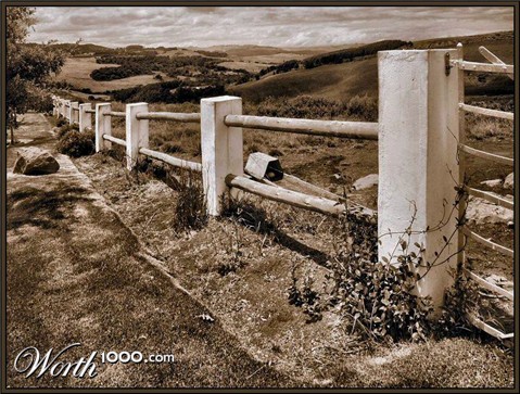 Photography by Juicer