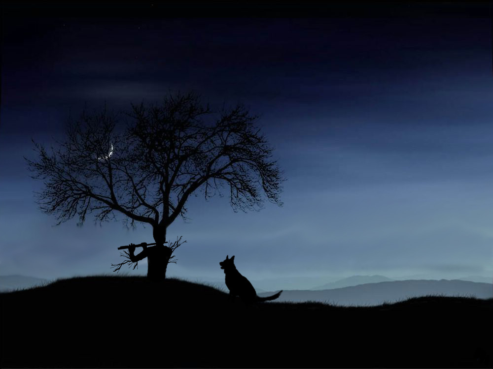 Photoshop Design by stevebrtr for DesignCrowd (Community Contests) | Design #9008676