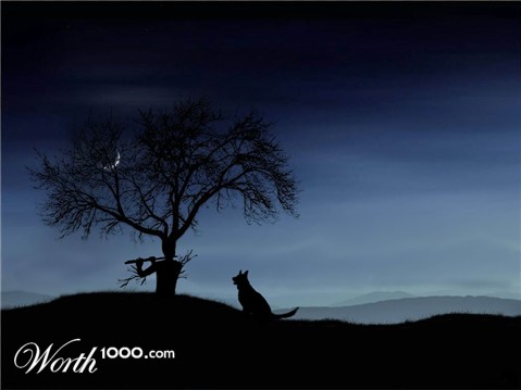 Photoshop Design by stevebrtr