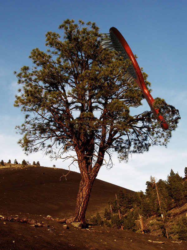 Diseño de Photoshop por Pigia1975 para DesignCrowd (Community Contests) | Diseño #9008685