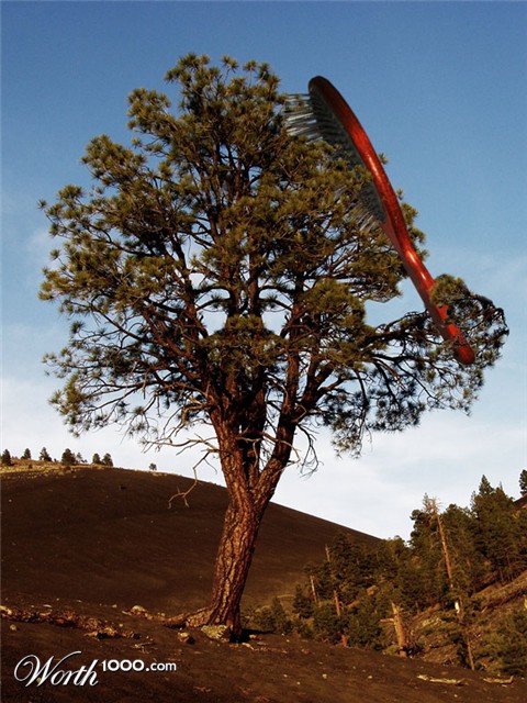 Photoshop Design by Pigia1975