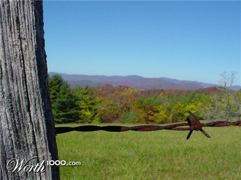 Photography by MothnFlame