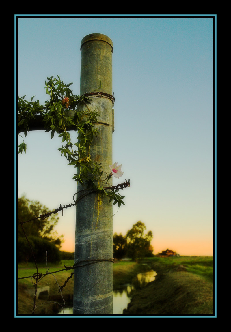 Photography by kimbomac for DesignCrowd (Community Contests) | Design #9002981