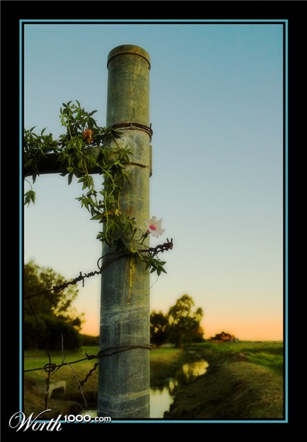 Photography by kimbomac