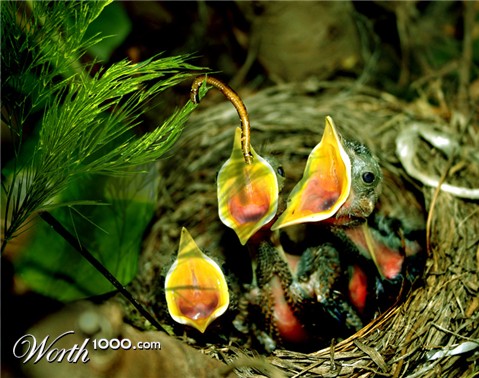Photoshop Design by fooentes