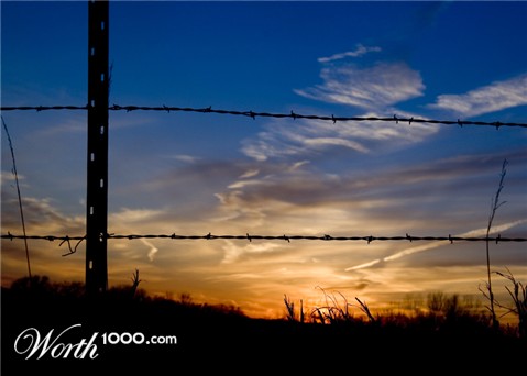 Photography by NickLidtke