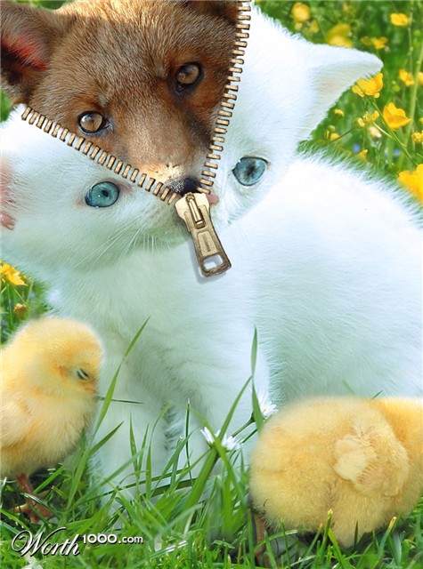 Photoshop Design by petermor