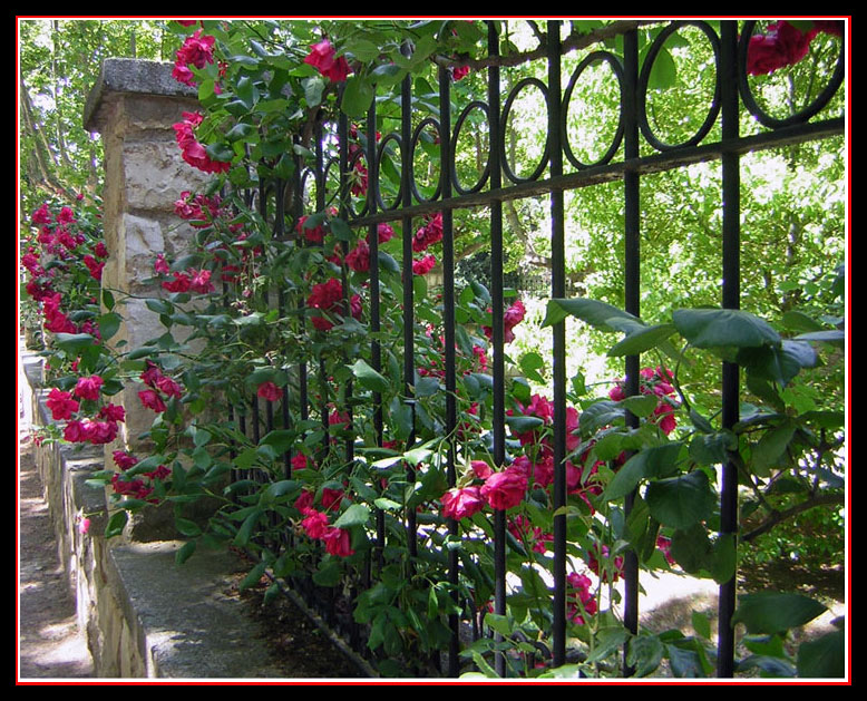 Fotografie von holdenzgz für DesignCrowd (Community Contests) | Design #9003063