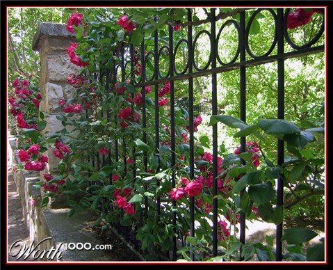 Photography by holdenzgz