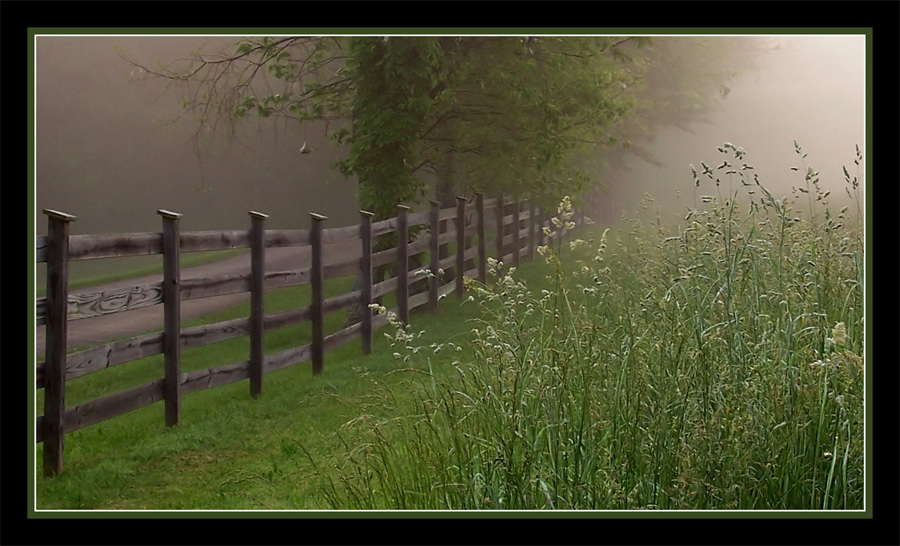 Fotografie von FallenAngel4U für DesignCrowd (Community Contests) | Design #9003022