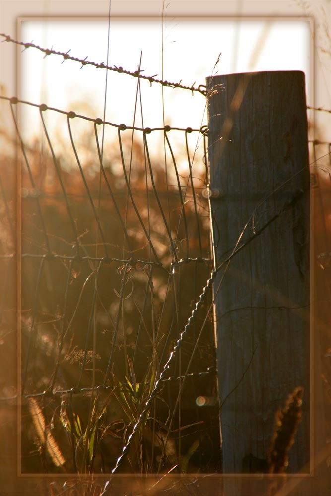 Photography by janicekelley for DesignCrowd (Community Contests) | Design #9002995