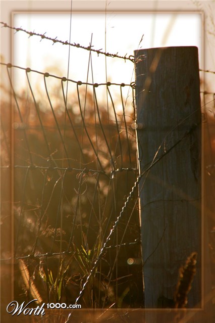 Photography by janicekelley