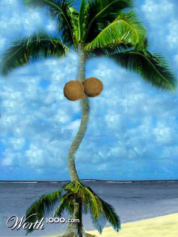 Photoshop Design by mudlite44