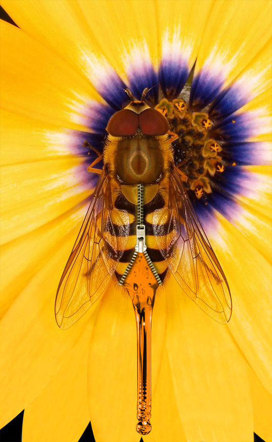 Photoshop Design by ThreeProngs for DesignCrowd (Community Contests) | Design #9008908