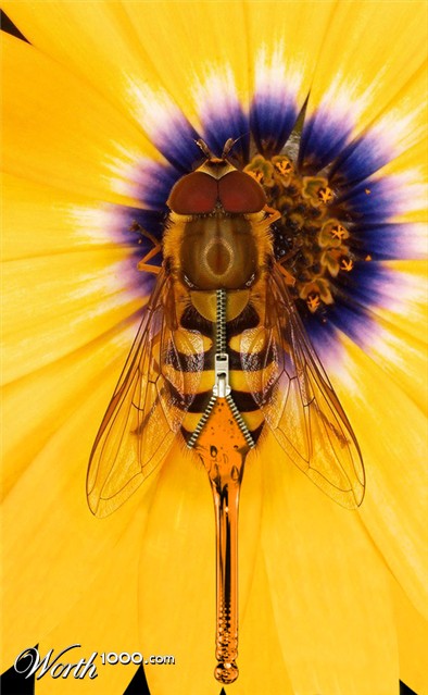 Photoshop Design by ThreeProngs