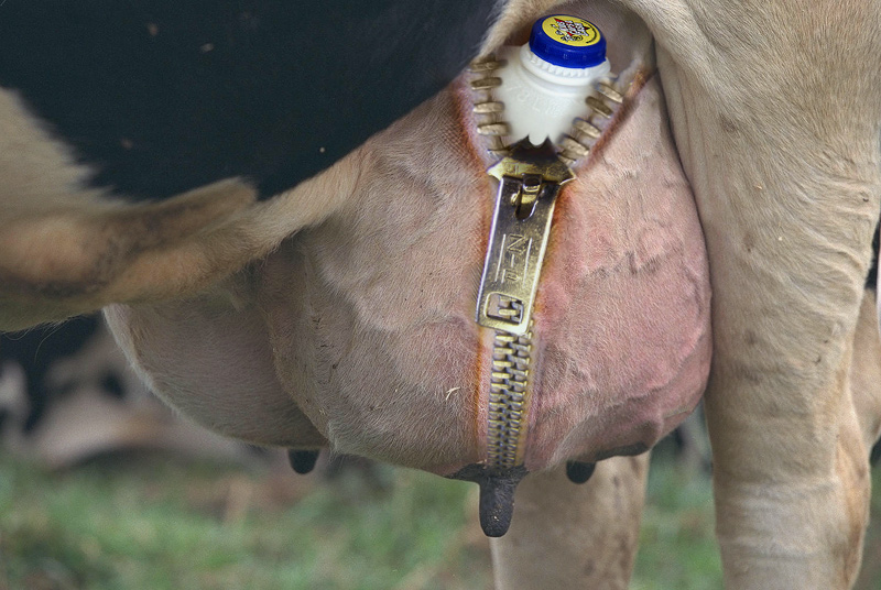 Photoshop-Design von RickLaMesa für DesignCrowd (Community Contests) | Design #9008899