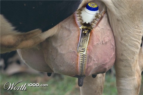 Photoshop Design by RickLaMesa