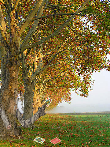 Photoshop Design by DOOMY22 for DesignCrowd (Community Contests) | Design #9008722