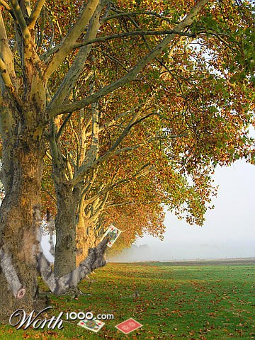 Photoshop Design by DOOMY22