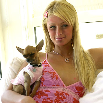 Design Photoshop par mommyeyes pour DesignCrowd (Community Contests) | Design #9004162