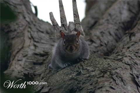 Photoshop Design by Qofcheez