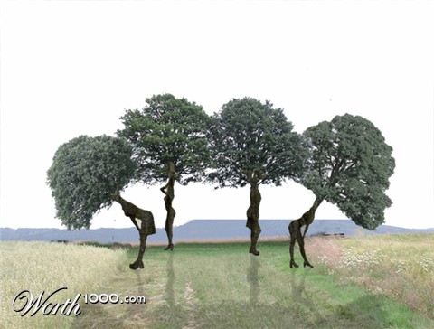Photoshop Design by pmetzga