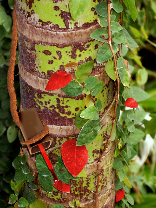 Photoshop Design by sockmonster for DesignCrowd (Community Contests) | Design #9008730