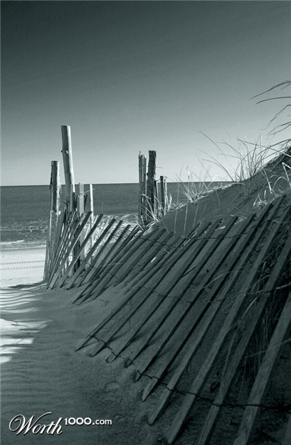 Photography by pbennett