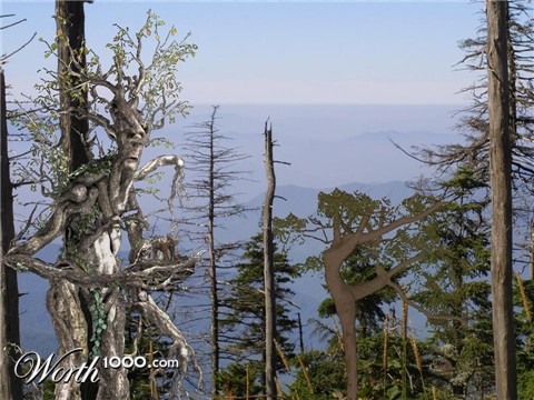 Photoshop Design by ushurani