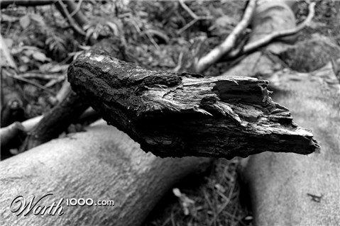 Photography by Luciusseian