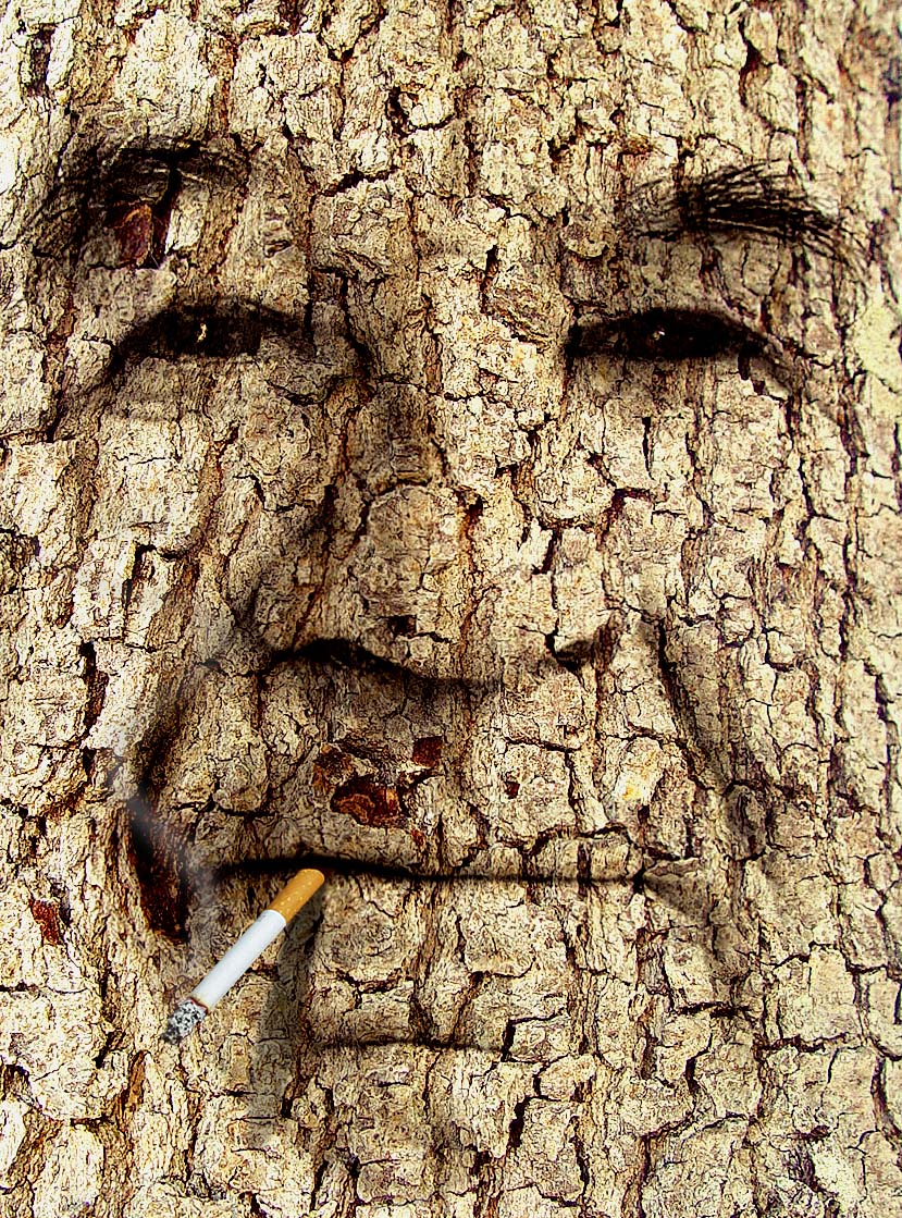 Photoshop Design by RikkieZ for DesignCrowd (Community Contests) | Design #9008715