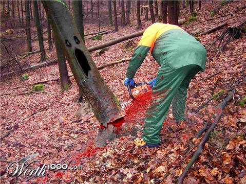 Photoshop Design by BeNeR1