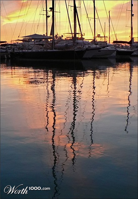 Photography by jandreu