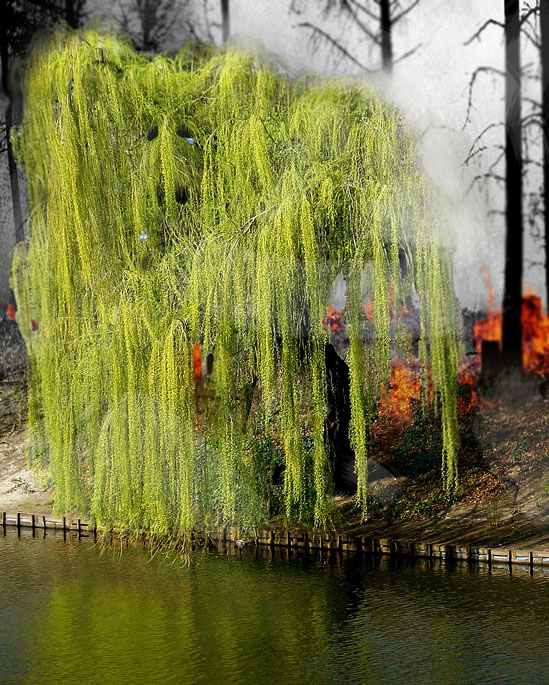 Photoshop Design by psooop for DesignCrowd (Community Contests) | Design #9008739