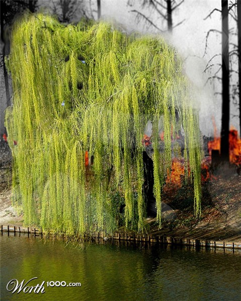 Photoshop Design by psooop