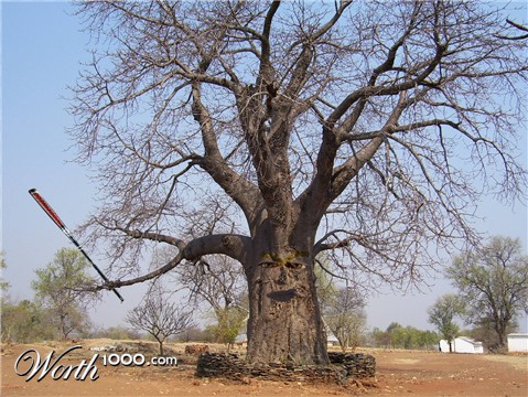 Photoshop Design by crazyridersammy