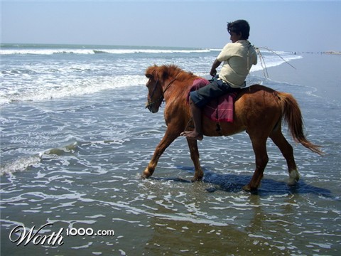 Photography by vipez