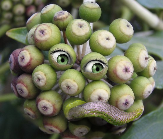 Photoshop-Design von Christina1713 für DesignCrowd (Community Contests) | Design #9008746