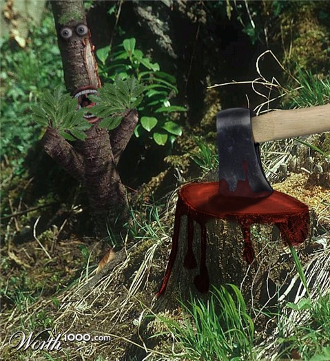 Photoshop Design by kizzle