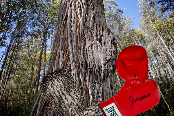 Photoshop Design by lordgilamesh for DesignCrowd (Community Contests) | Design #9008772