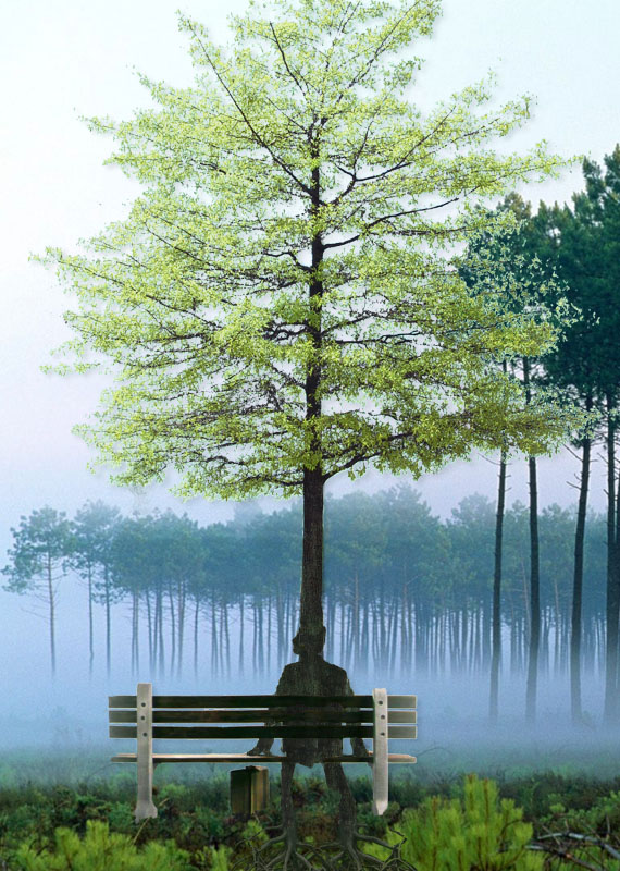 Photoshop Design by jeniffermarie for DesignCrowd (Community Contests) | Design #9008776