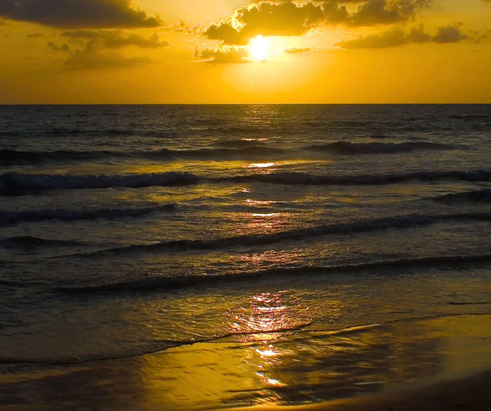 Fotografie von NatashaP für DesignCrowd (Community Contests) | Design #9003719