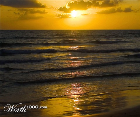 Photography by NatashaP