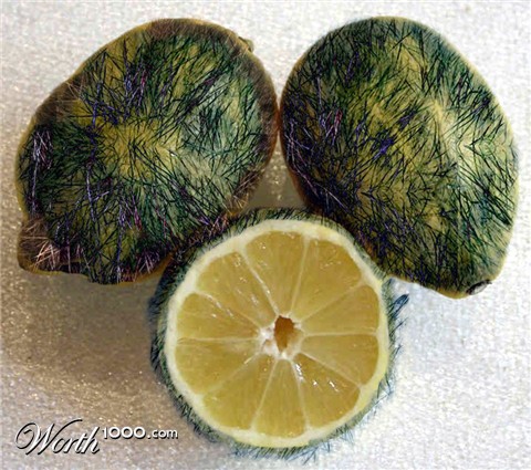 Photoshop Design by potters