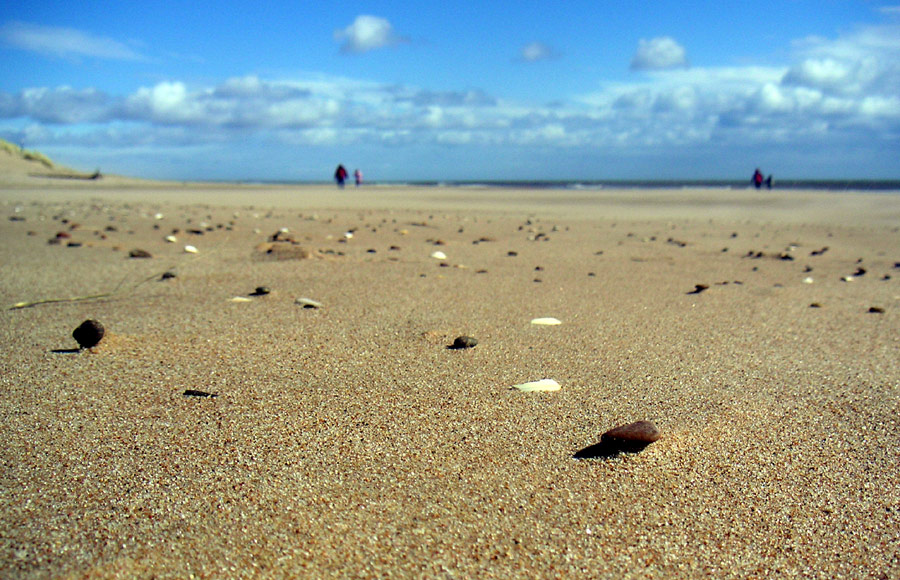 Photographie par StevieM pour DesignCrowd (Community Contests) | Design #9007566