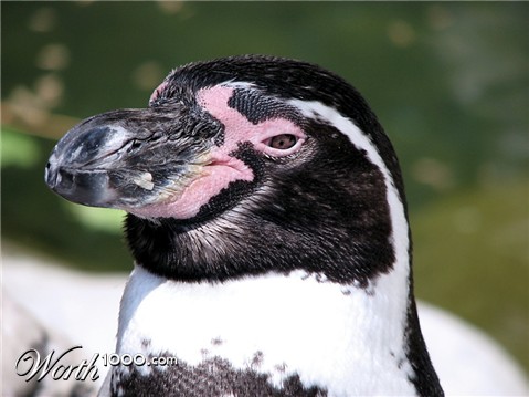 Photography by timpeeler37