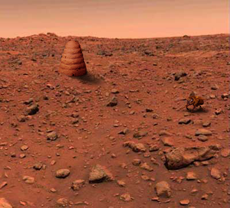 Photoshop Design by Coditor for DesignCrowd (Community Contests) | Design #9005161