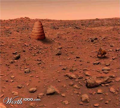 Photoshop Design by Coditor