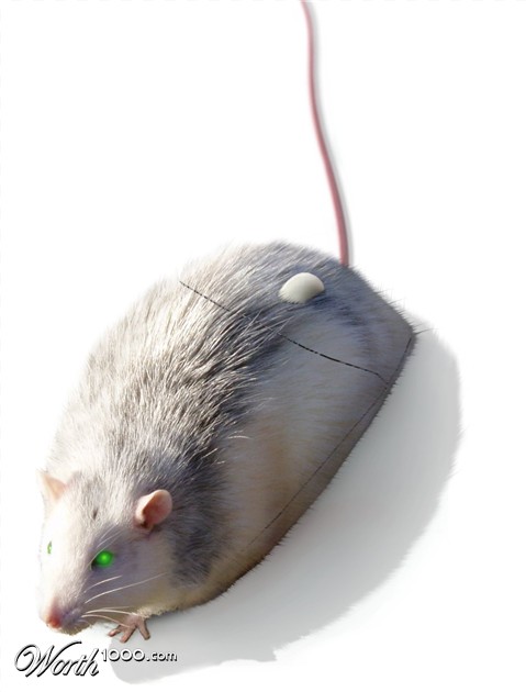 Photoshop Design by Eireen